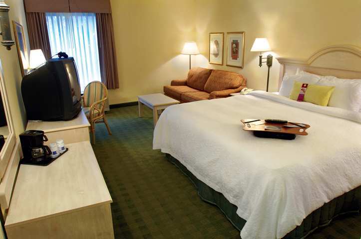 Hampton Inn Ellenton/Bradenton Rum bild